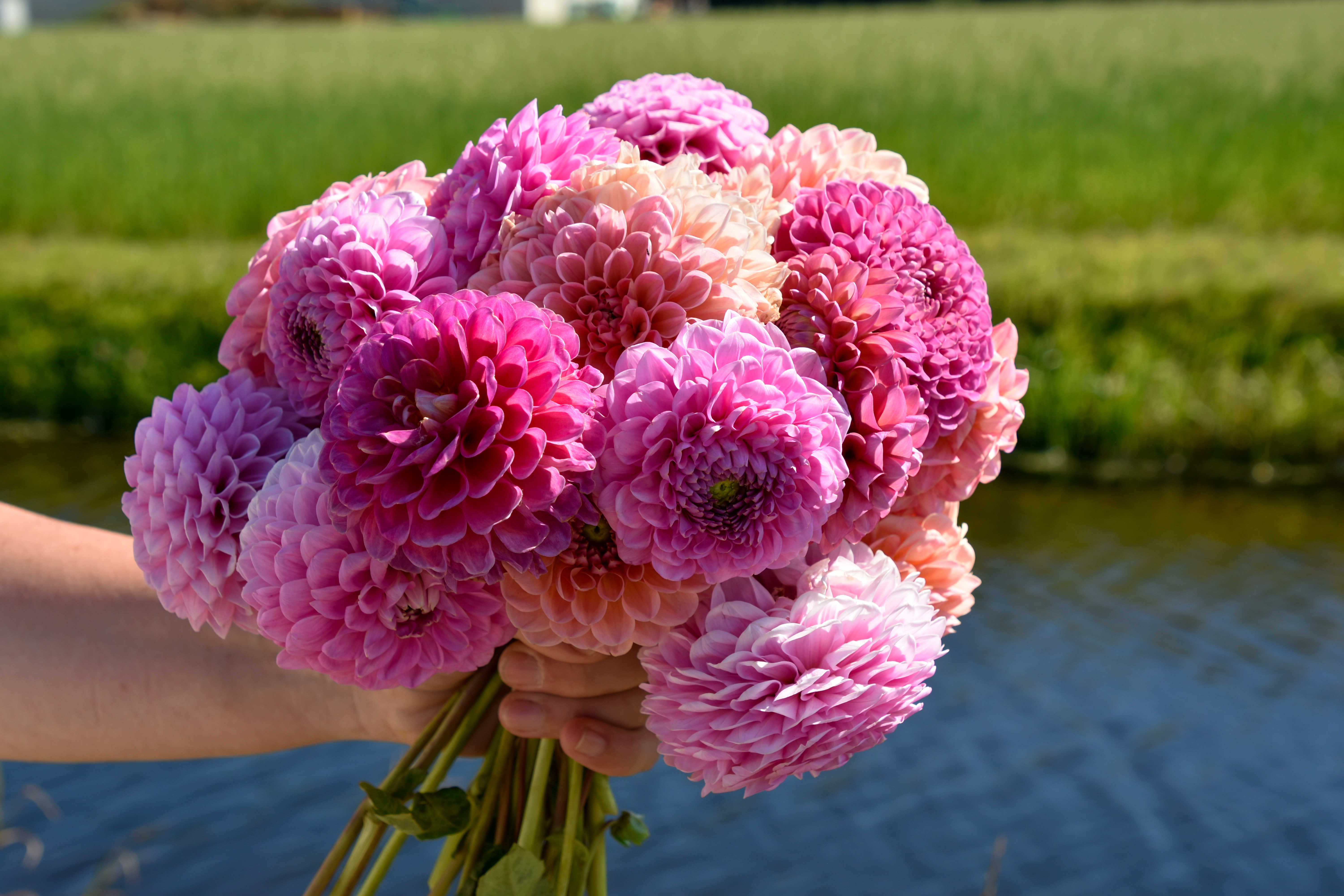 Ballzeit